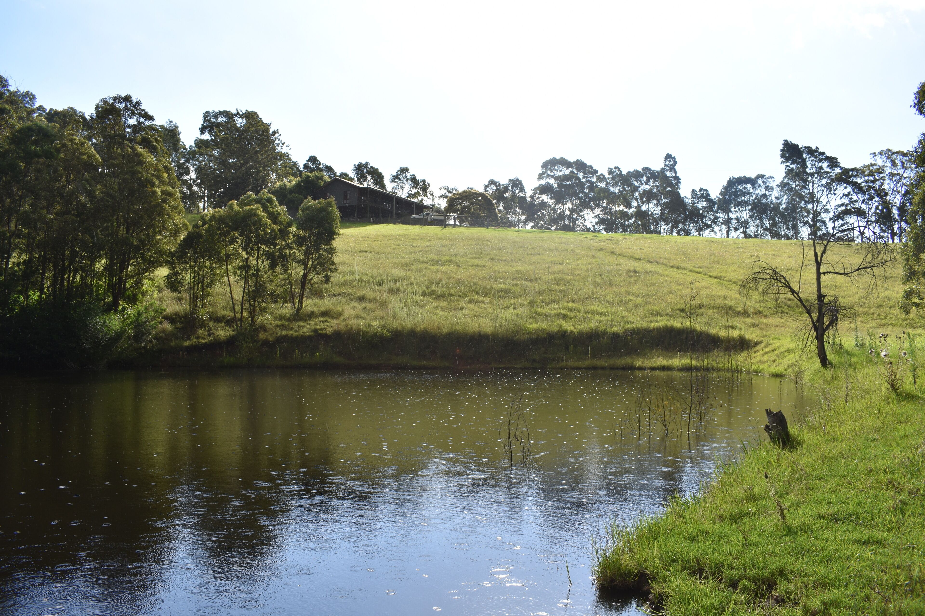 Valley Beyond - Peace and tranquility. PET Friendly. Free Wi Fi — image 14