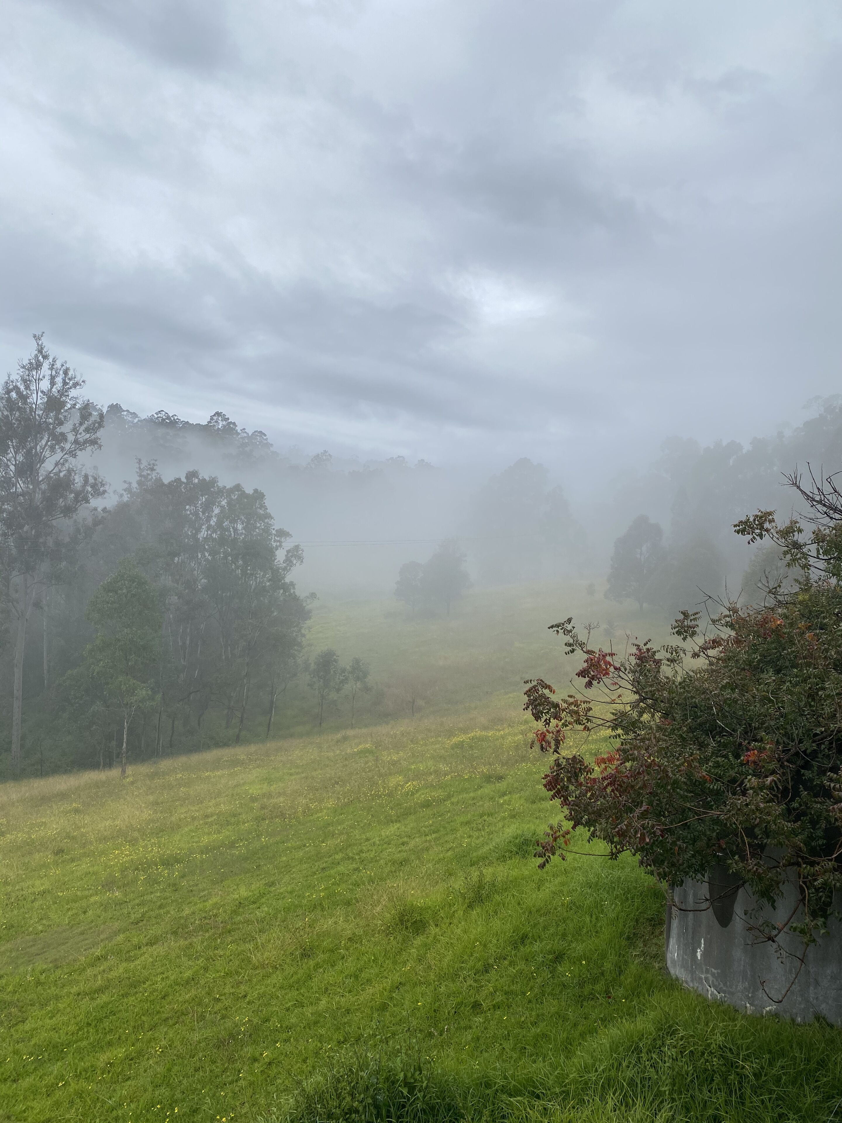 Valley Beyond - Peace and tranquility. PET Friendly. Free Wi Fi — image 21