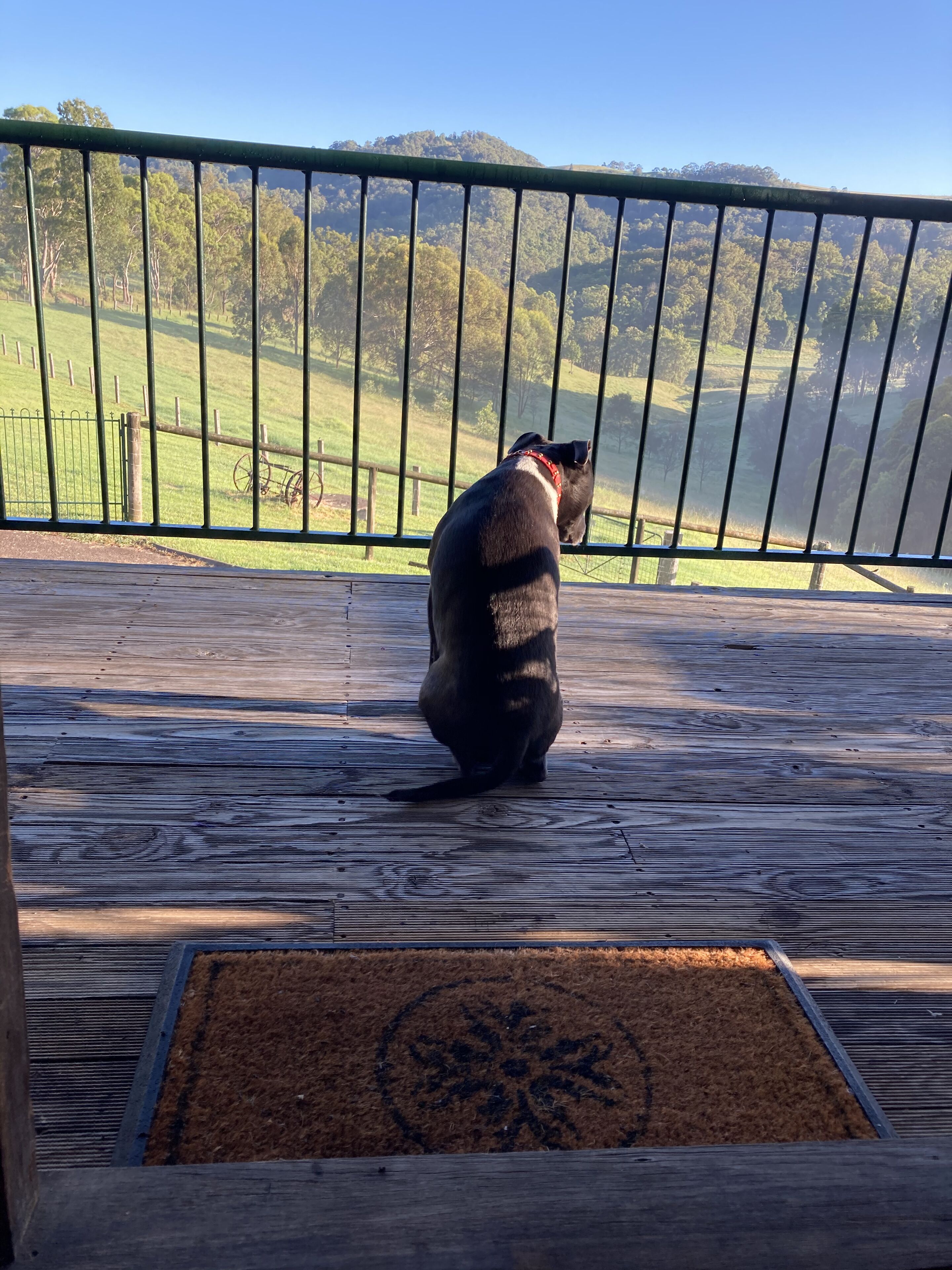 Valley Beyond - Peace and tranquility. PET Friendly. Free Wi Fi — image 3