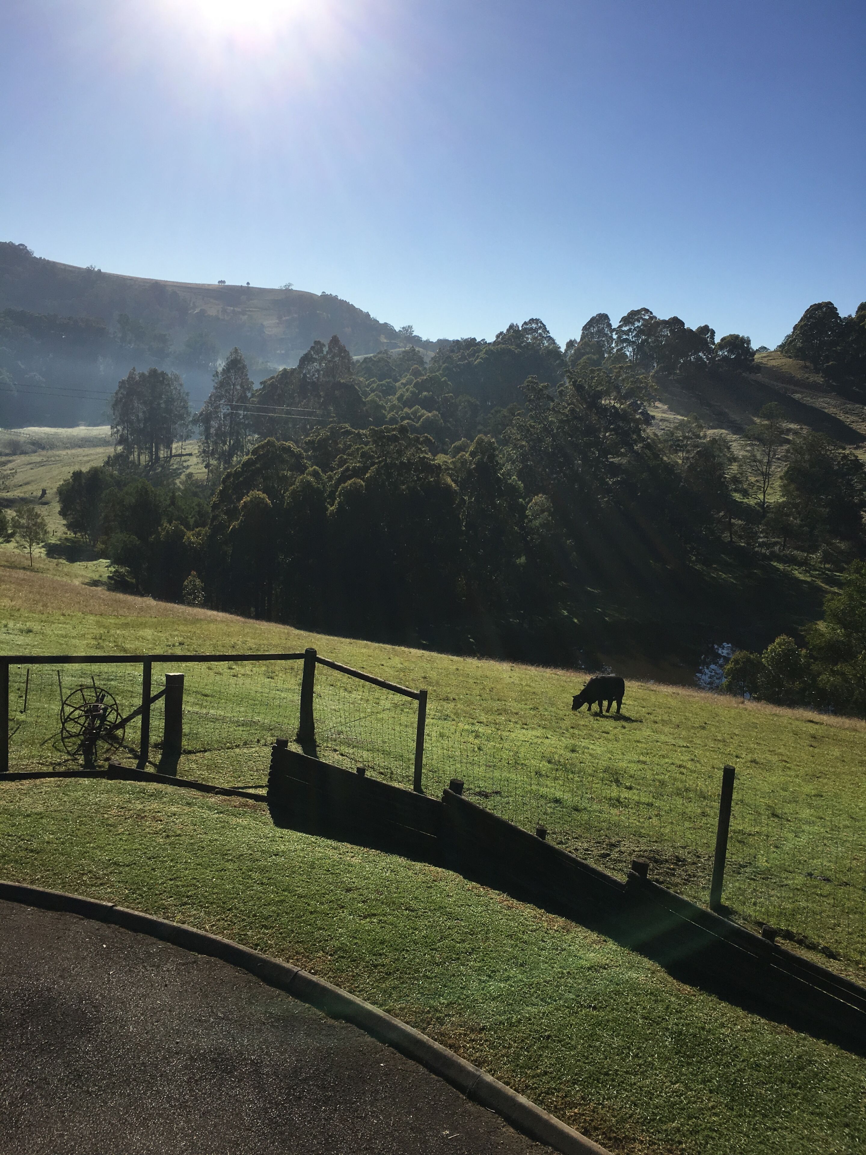 Valley Beyond - Peace and tranquility. PET Friendly. Free Wi Fi — image 17