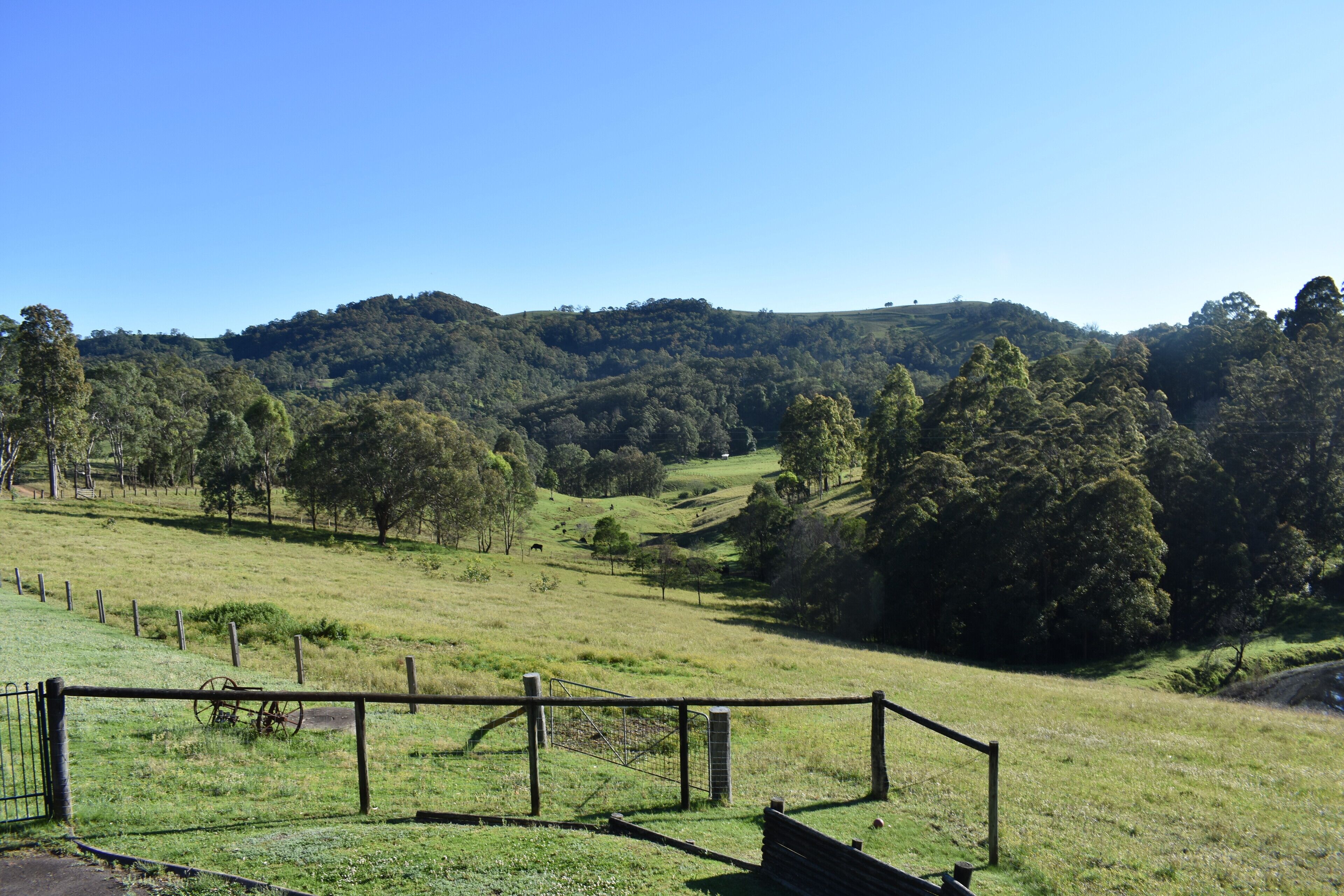 Valley Beyond - Peace and tranquility. PET Friendly. Free Wi Fi — image 15