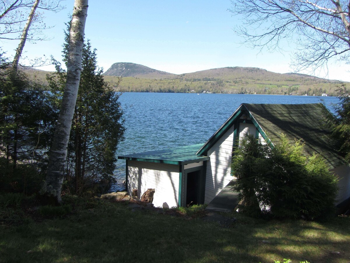 Imagen de perfil del propietario o de la propietaria