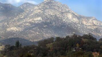 A mountain with a rocky surface and a forested area in the foreground.