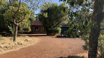 A gravel driveway leading to a brick house with a tiled roof, surrounded by trees and a garden.