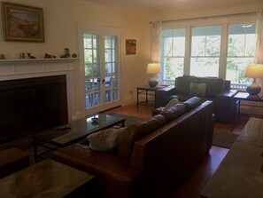 TV, fireplace, DVD player, books