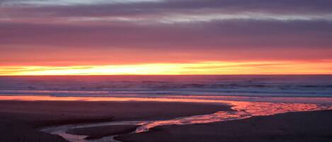 Vlak bij het strand