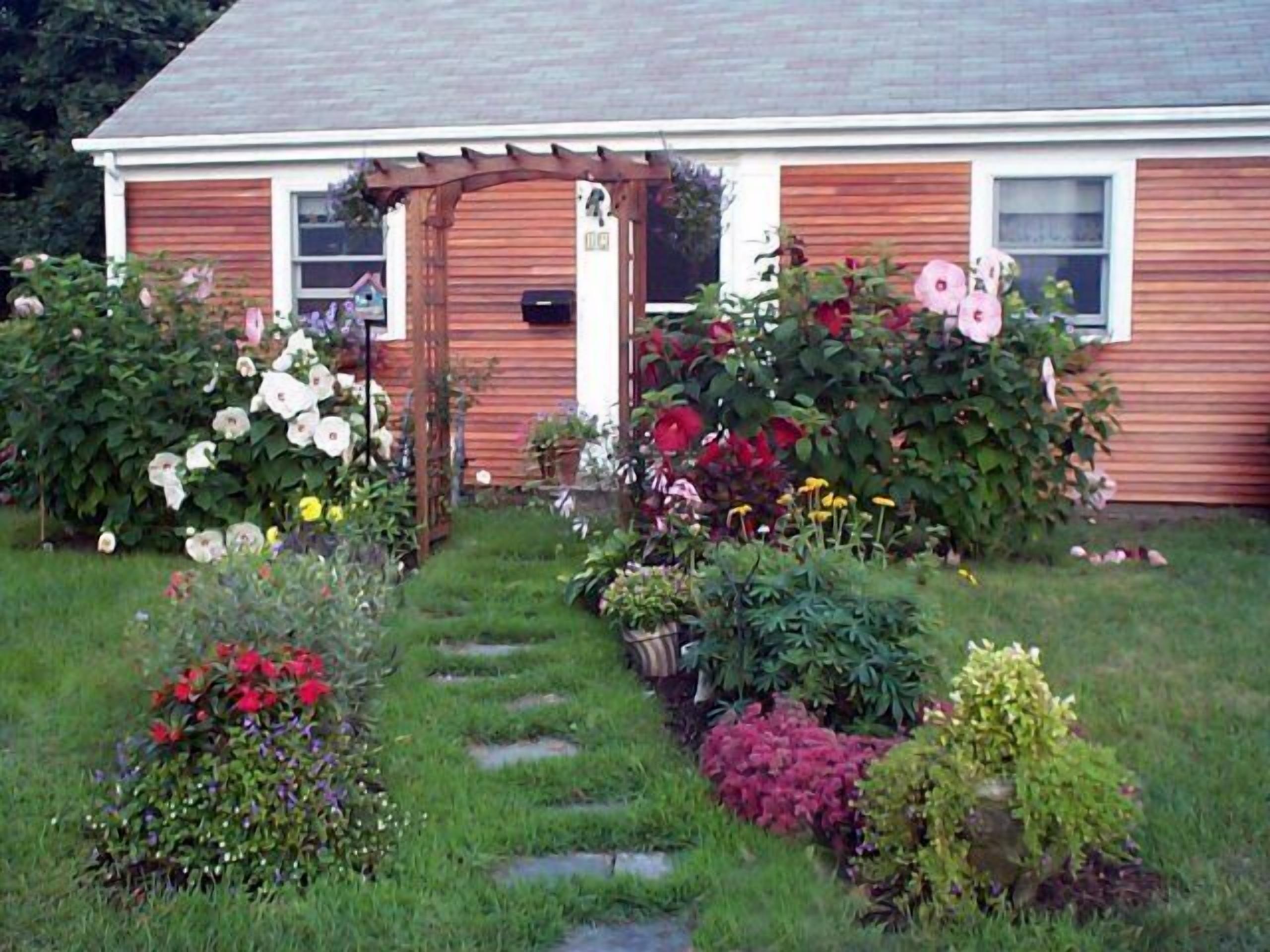 The Dog Friendly Neighborhood that Time Forgot.