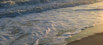 Blue Cottage: Renovated Beachside Retreat, Pet-Friendly w/ Fenced Private Yard