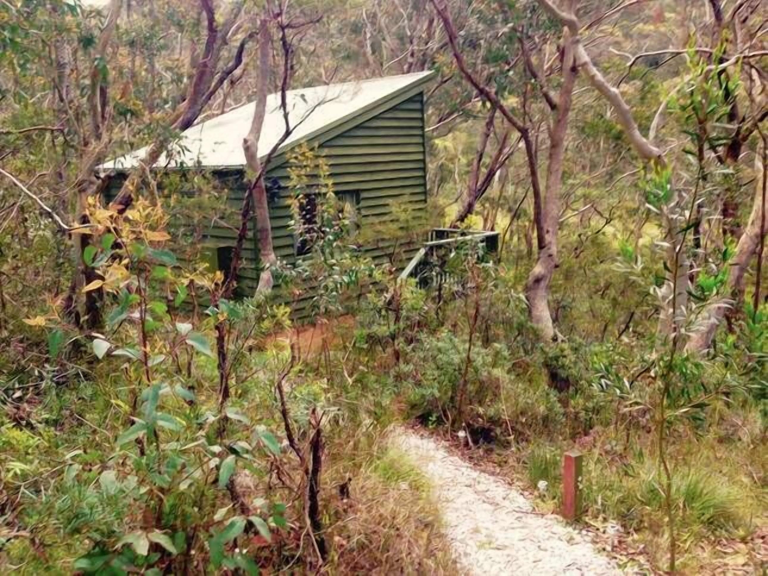 Bush Cabin Bliss Blue Mountains!