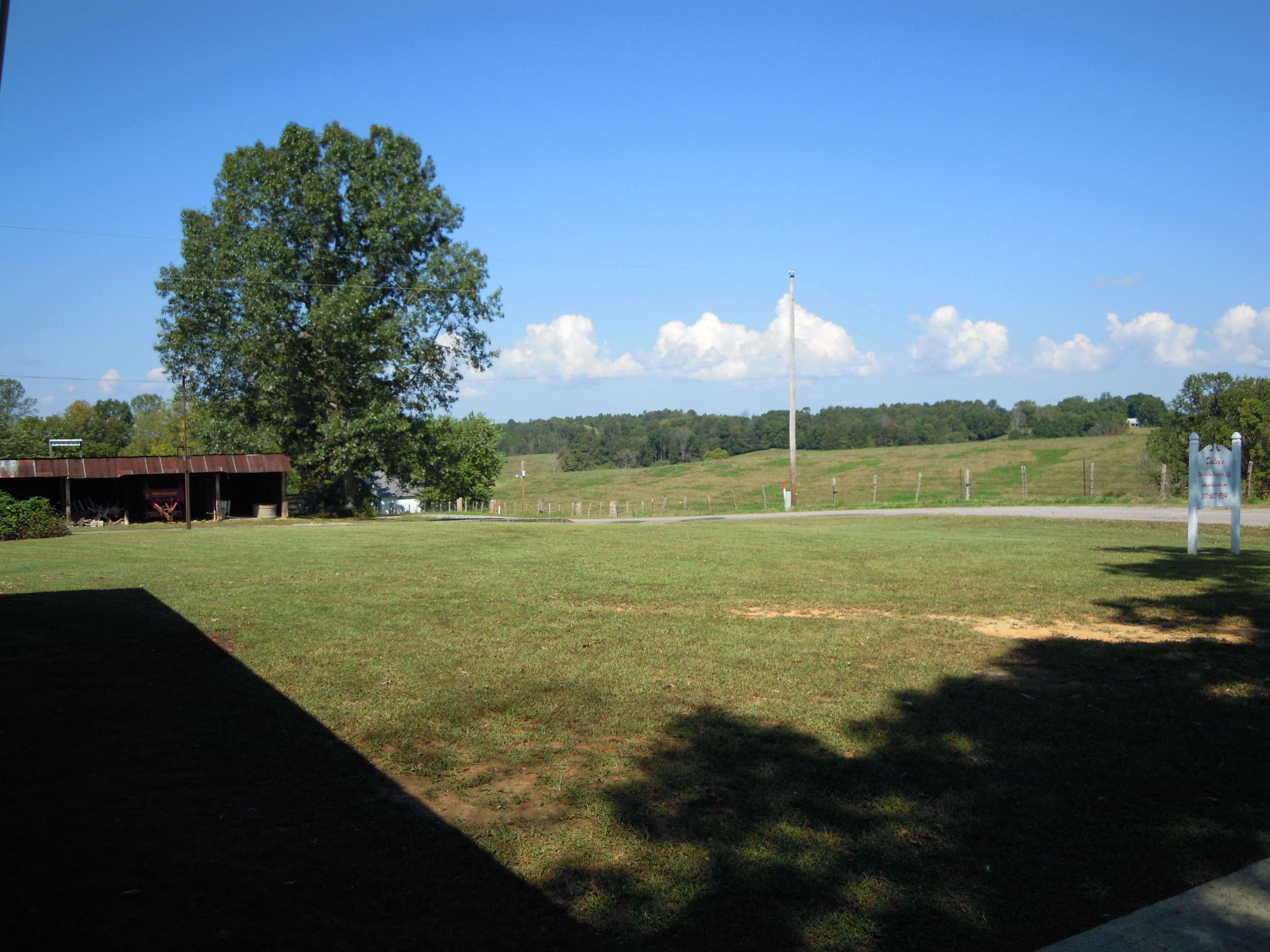 View of Front Yard Pic 2 (Towards Additional Parking Area)