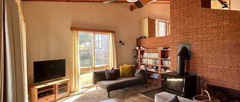 Smart TV, chimenea, reproductor de DVD y libros