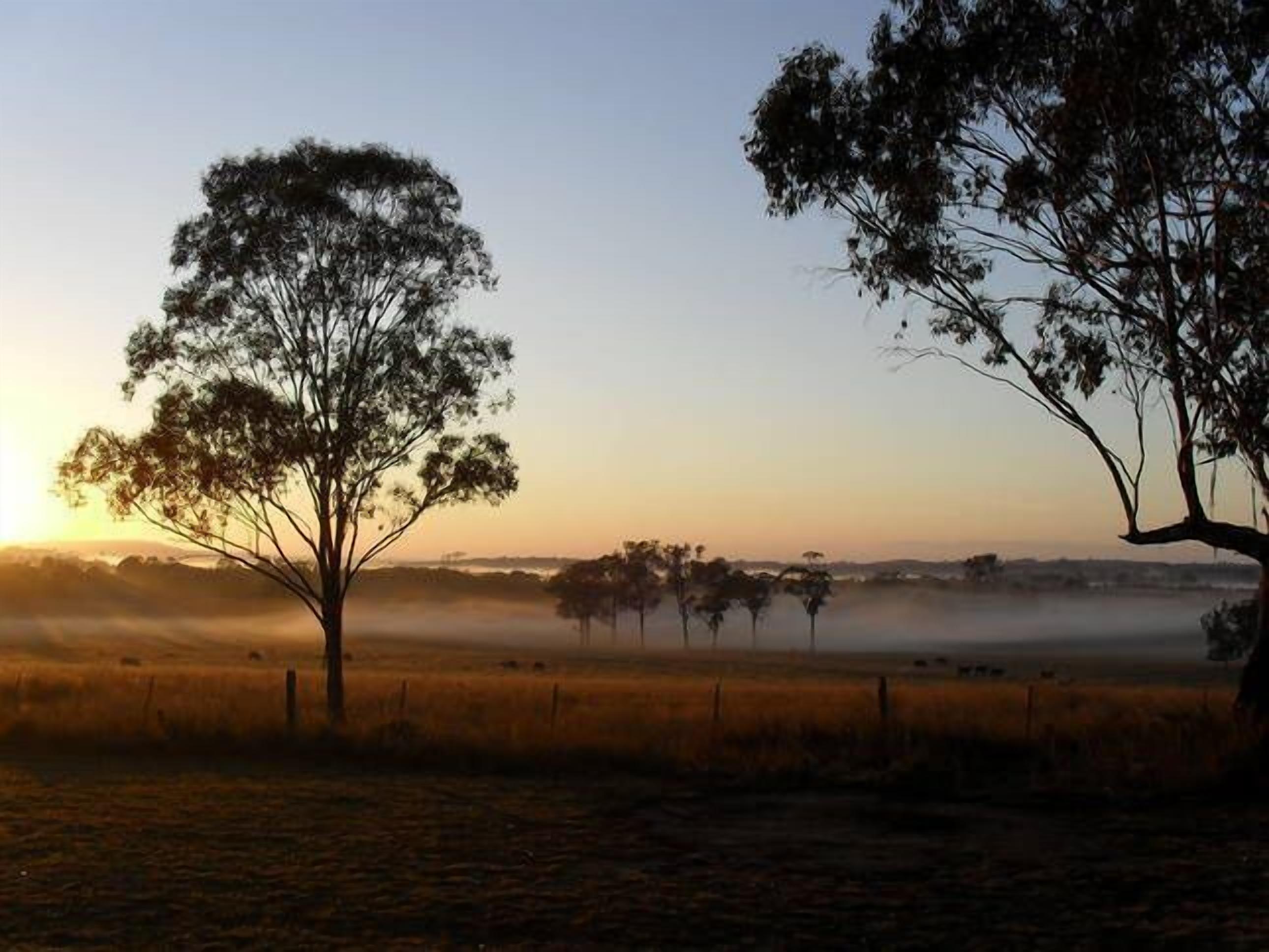 Kookaburra Hideaway Hunter Valley — image 20