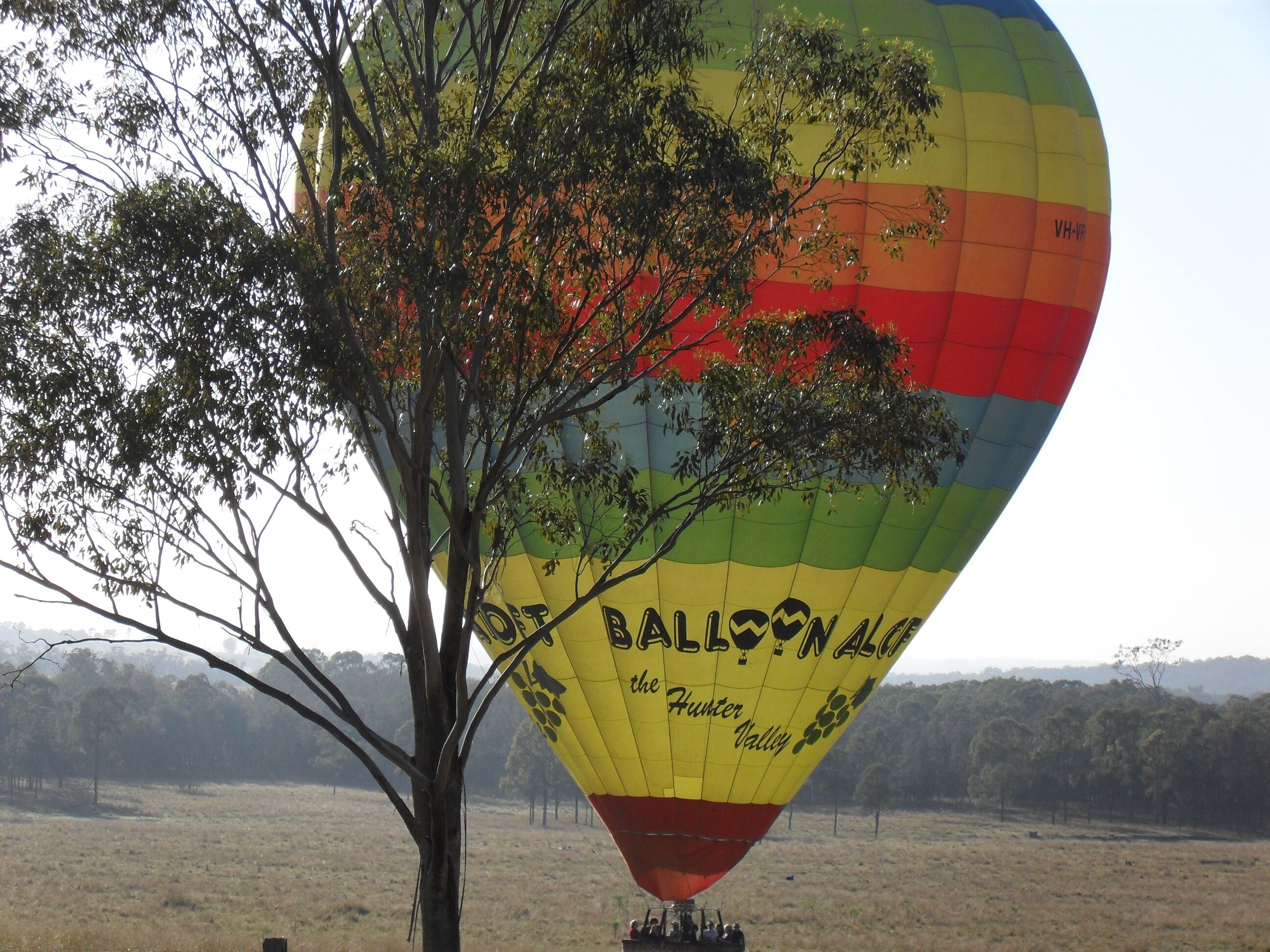 Kookaburra Hideaway Hunter Valley — image 14