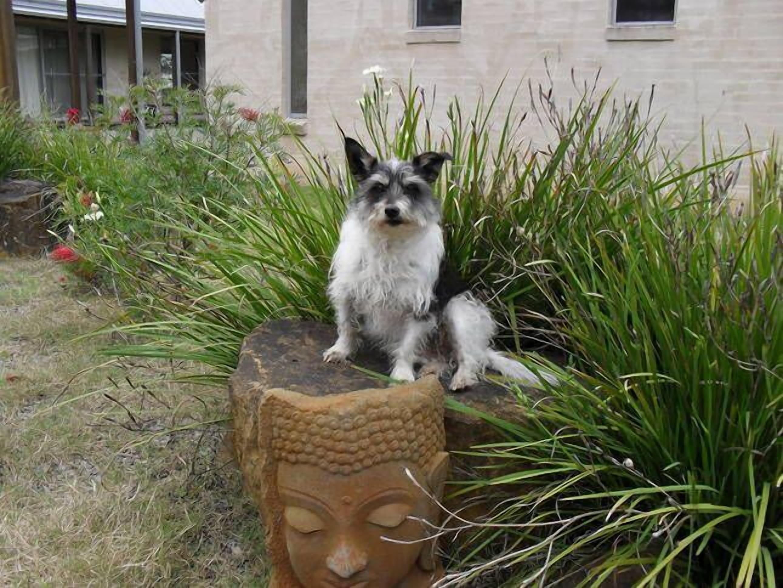 Kookaburra Hideaway Hunter Valley — image 21