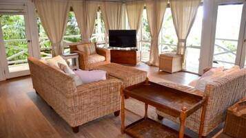 Smart TV, fireplace, DVD player, books