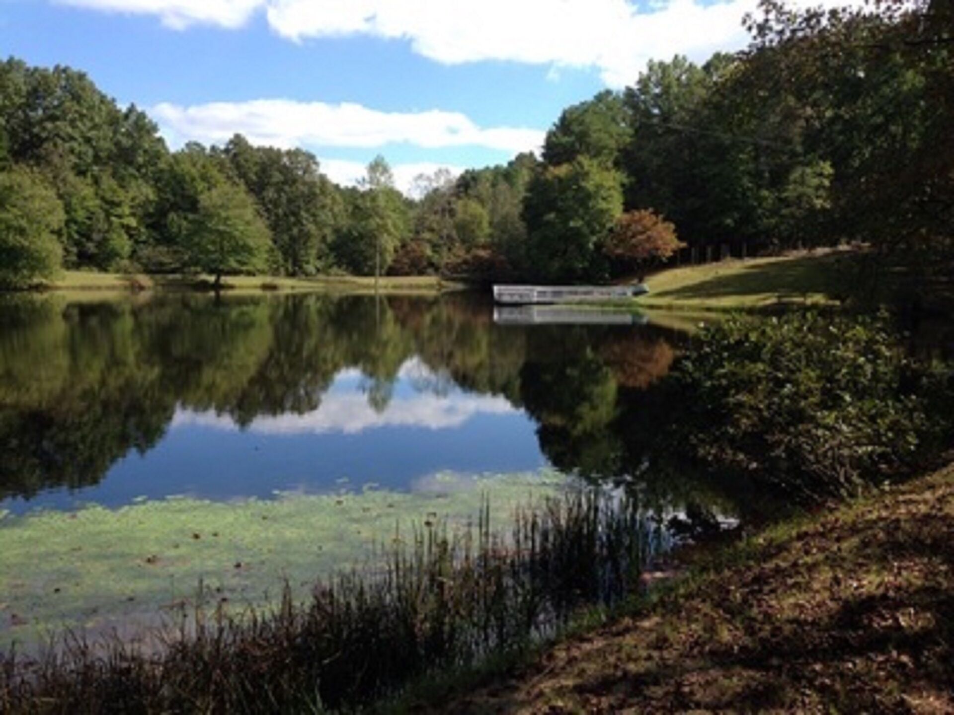 Celestial Hills  - A Home Away From Home 