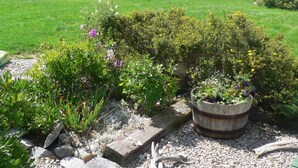 Un jardín con diversas plantas y un banco de madera.