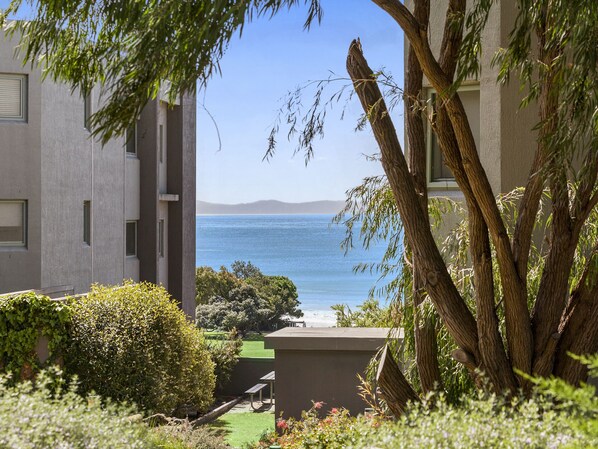 Property grounds - Cumberland Resort Lorne private Apartment near beach, pool, spa, tennis, shops (Lorne)