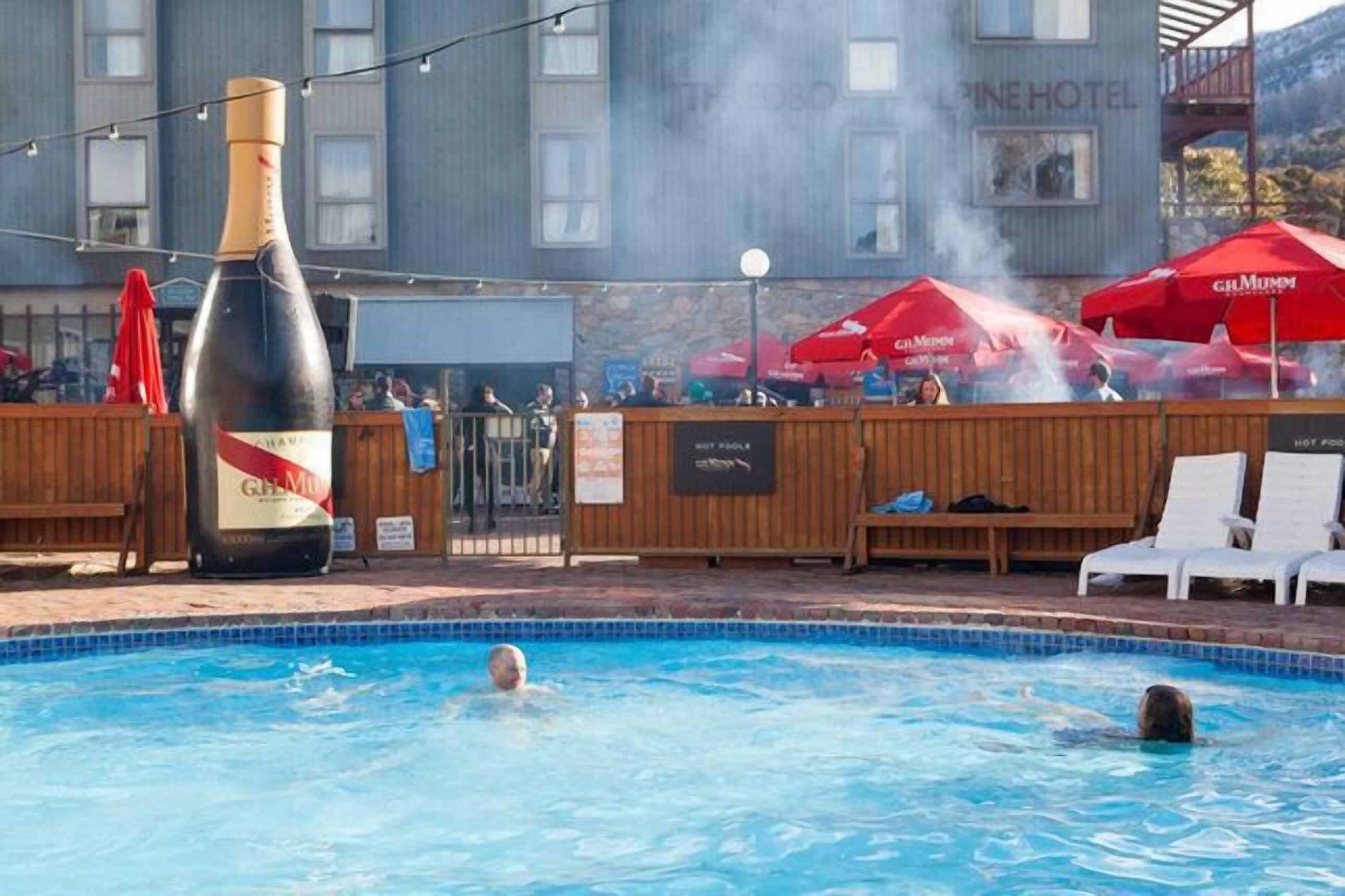 Thredbo Penthouse Aprmt (suitable for 2 families) \nCentral Village Location — image 5