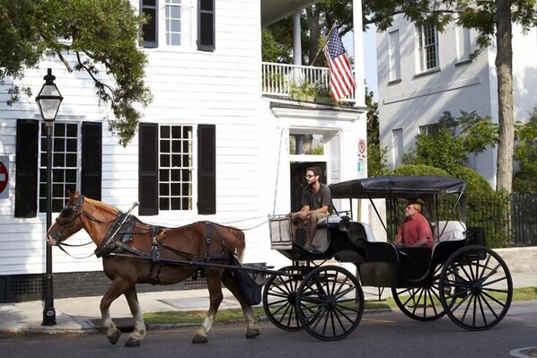 Learn all about Charleston's rich history with a carriage tour through the city.