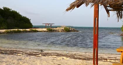 Your Windsurf Home Away From Home