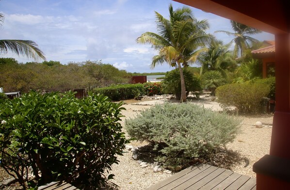 A tropical garden with palm trees, a wooden deck, and a view of the beach.