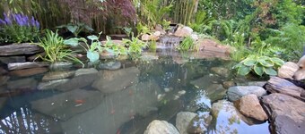 1820 Whaling Captain's Home - A walk to a coffee or cocktail!