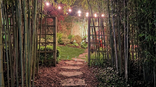 Un sendero de piedra que serpentea entre un bosque de bambú, iluminado con luces colgantes.
