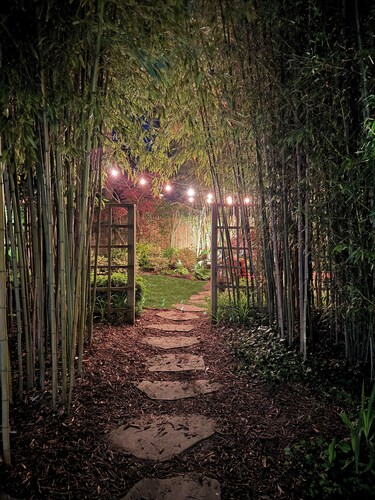 1820 Whaling Captain's Home - A walk to a coffee or cocktail!