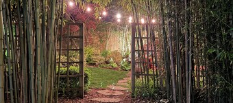 Inicio de 1820 Ballenera capitán