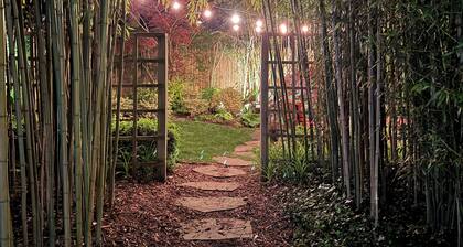 1820 Whaling Captain's Home - A walk to a coffee or cocktail!