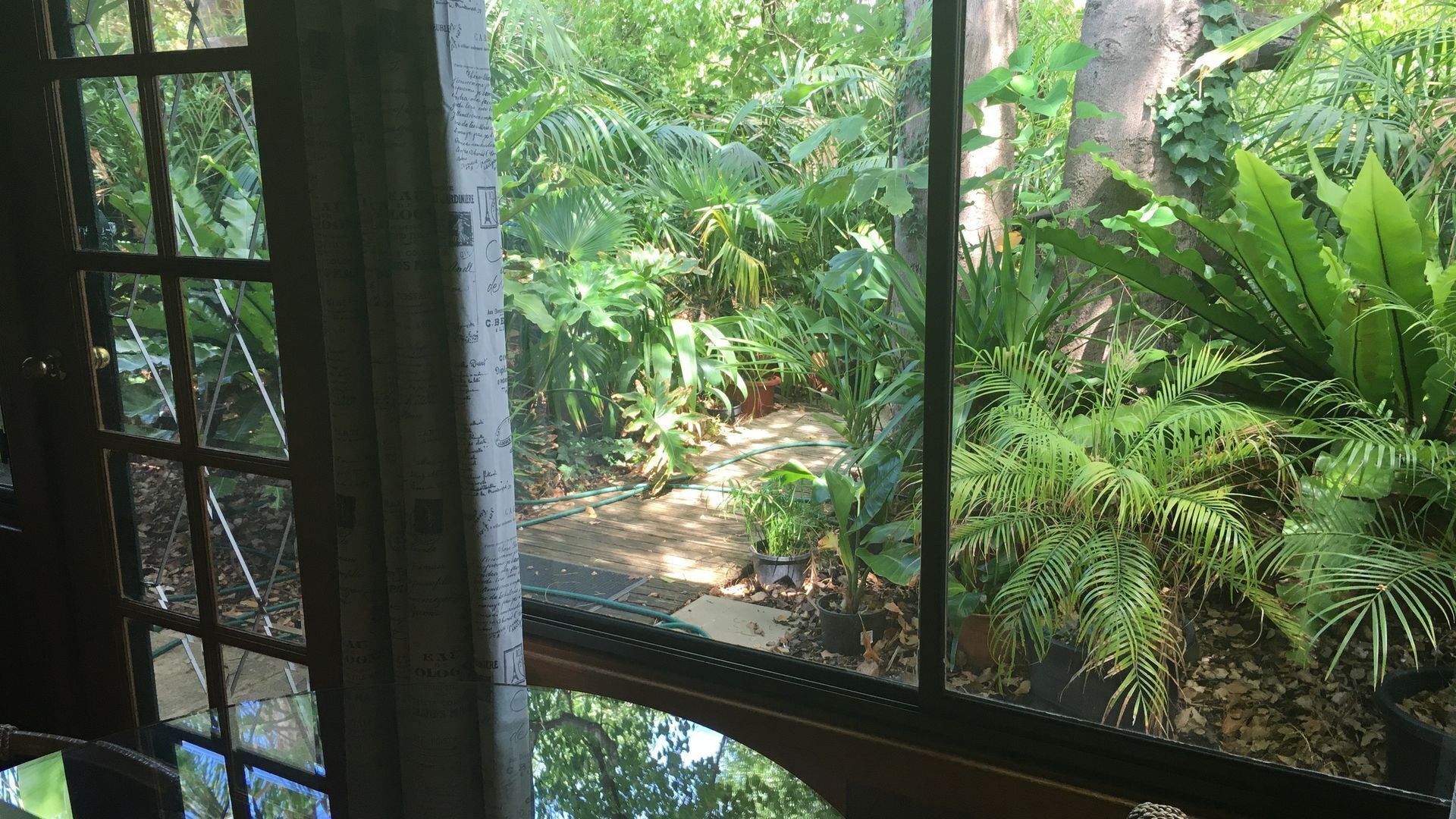 Kentia Palms holiday accommodation — image 12