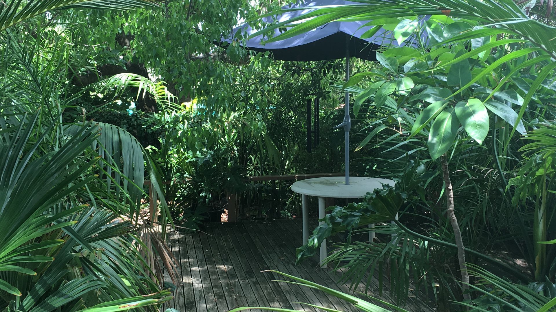 Kentia Palms holiday accommodation — image 21