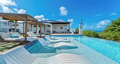 INFINITY POOL - Ocean View & walk 5 min to beach , 5BR + 3Baths