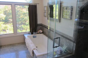 Combined shower/bathtub