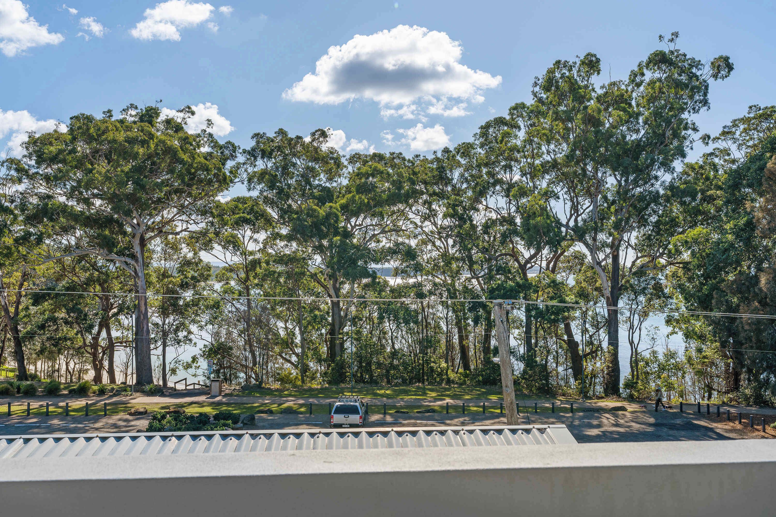 A car driving on a road with trees and a clear sky.