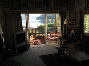 Télévision, cheminée, lecteur de DVD, livres
