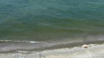 Sulla spiaggia, teli da spiaggia