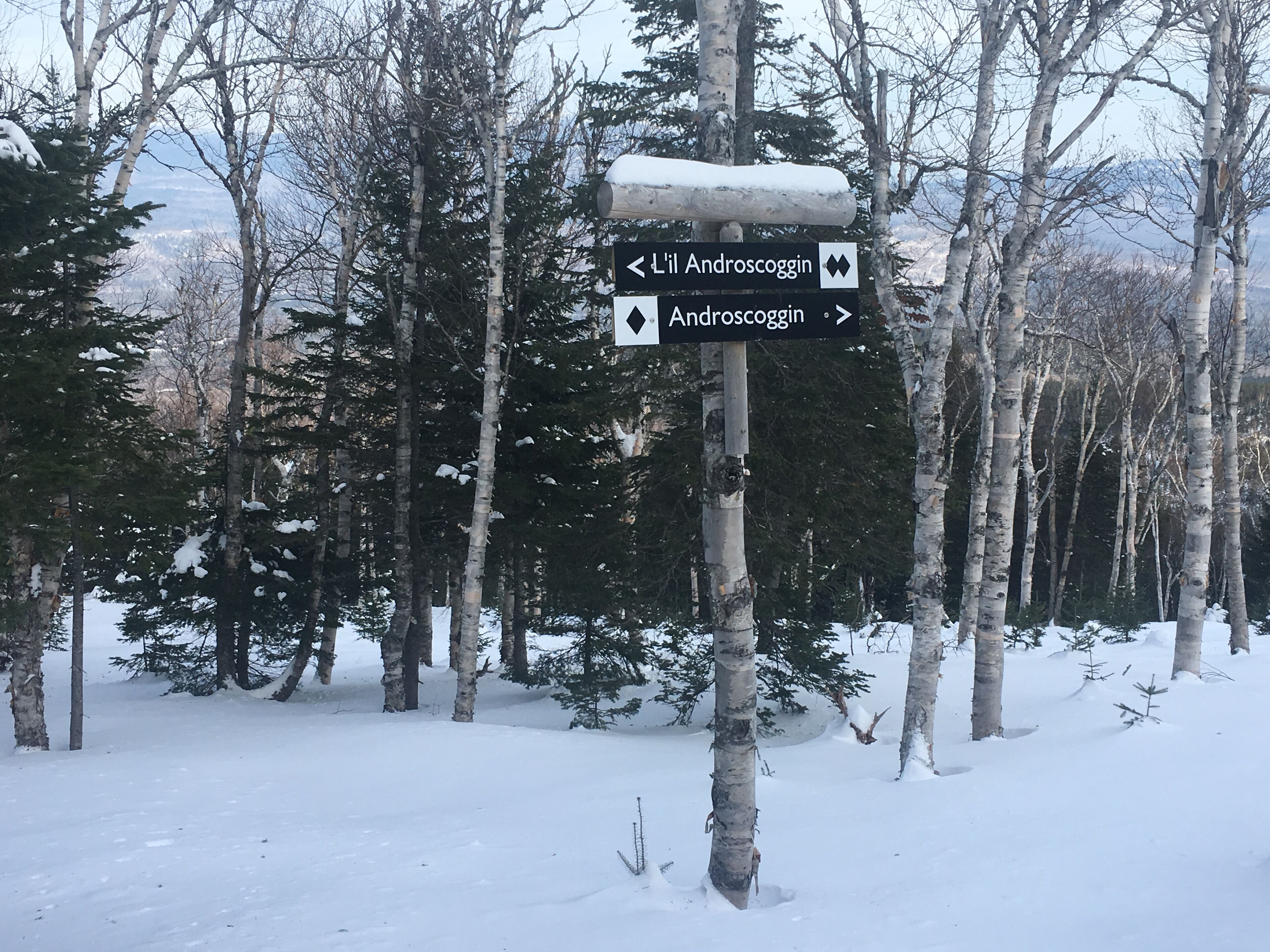 Up for an adventure, book a Cat trip or hike up Burnt Mt and ski the new glades