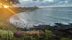 A coastal landscape with a rocky shoreline, palm trees, and a view of the ocean.