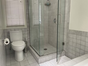 Bathtub, hair dryer, towels, soap