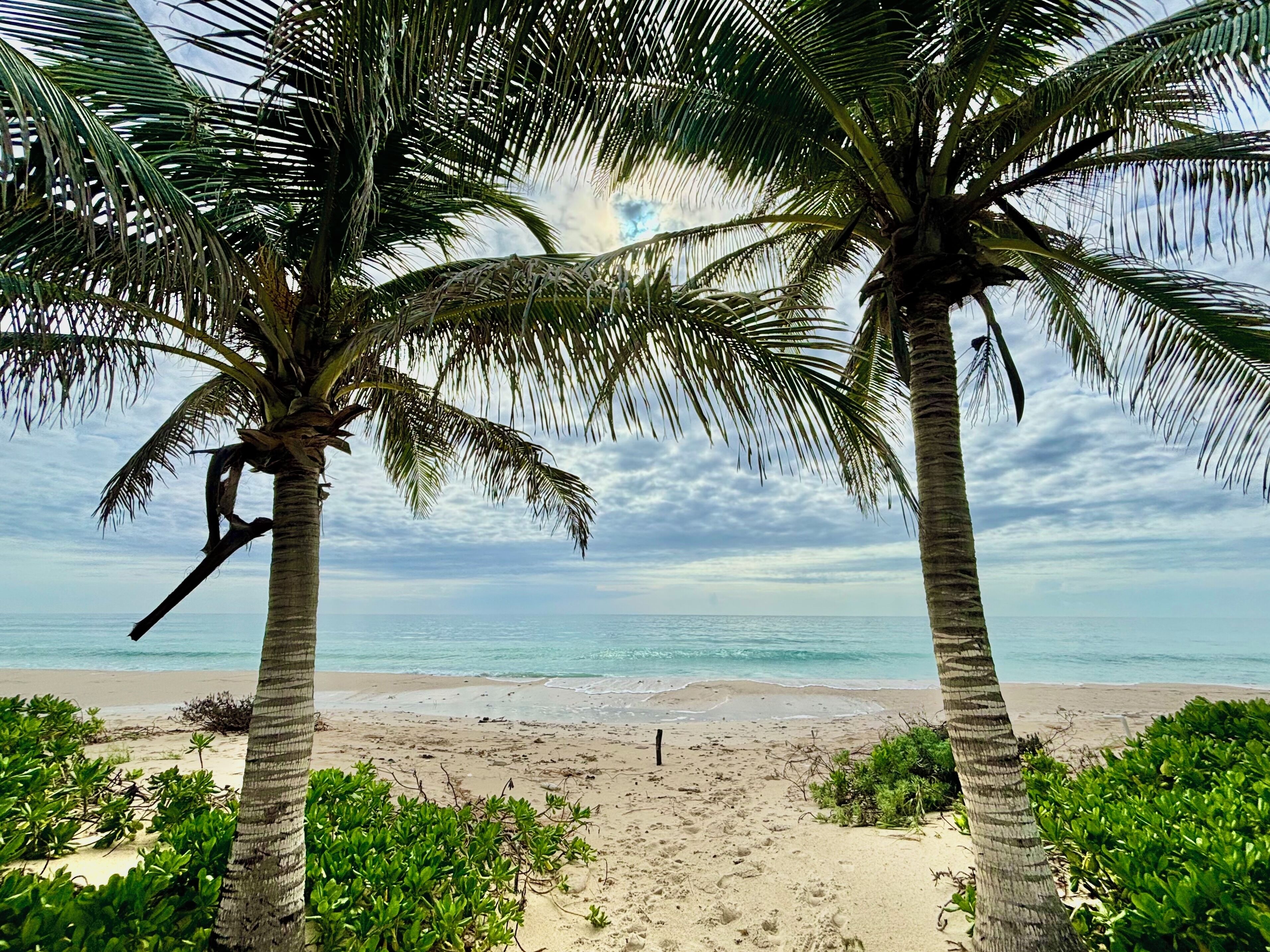 Rannalla, aurinkotuoleja, rantapyyhkeitä