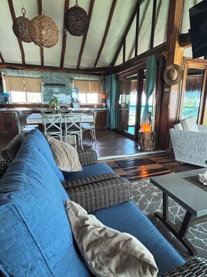 Smart TV, fireplace, books