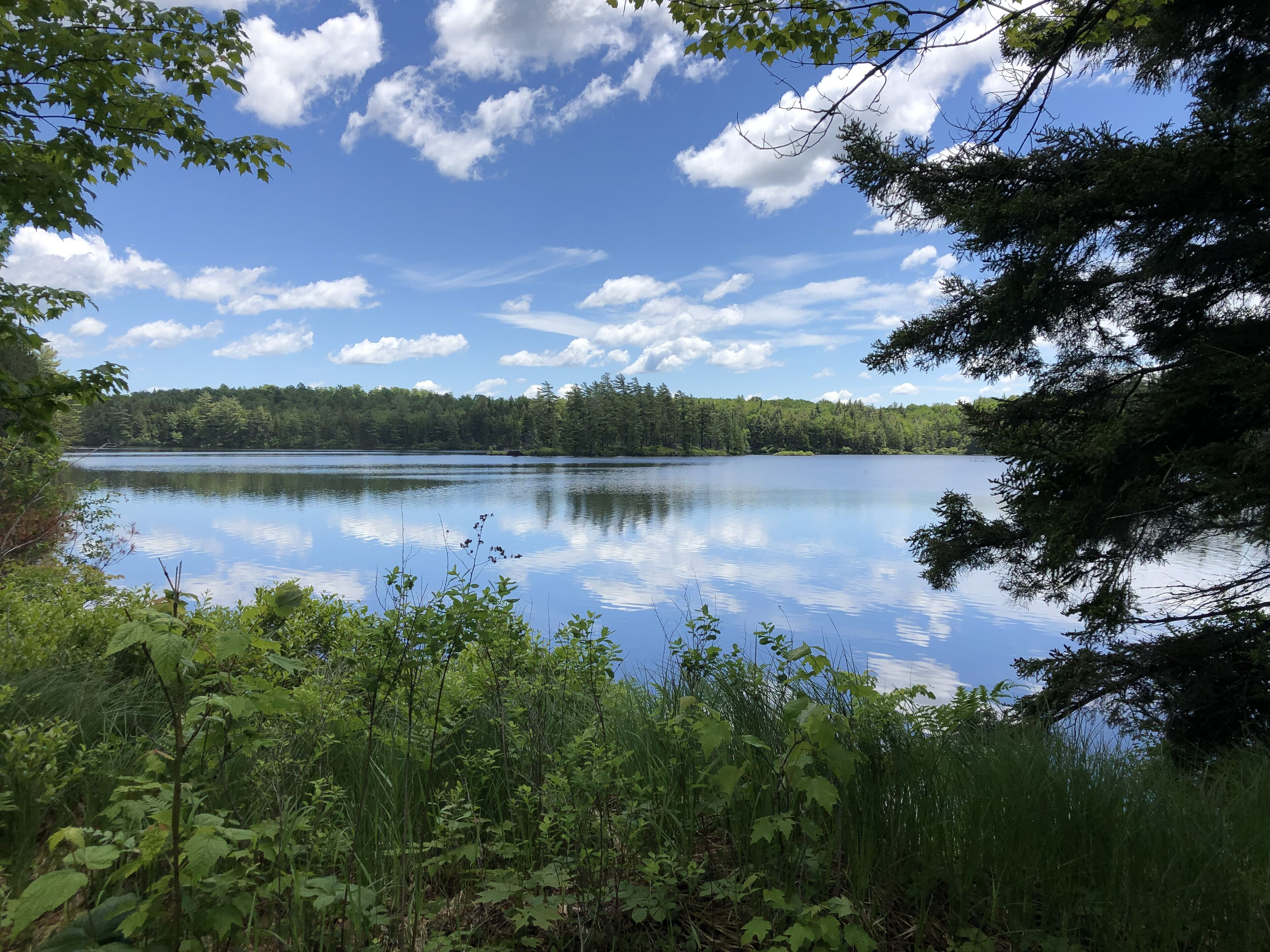 Romantic Lakeside Dream Cabin
