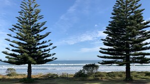 Two large evergreen trees with a view of the ocean and a clear sky. - Ohope Holiday Apartment (Ohope)