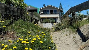 A sandy path leading to a house with a green roof, surrounded by yellow flowers and greenery. - Ohope Holiday Apartment (Ohope)