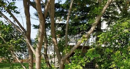 Ventana Colina Cozy Apartment Suite en San escénica Albert