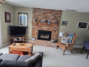 TV, fireplace, DVD player, books