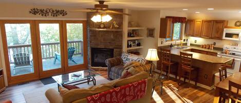 TV, fireplace, DVD player, books