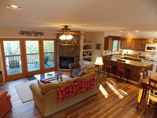 TV, fireplace, DVD player, books